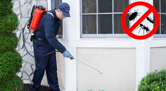 Erenler Gümüşkurt İlaçlama böcek ilaçlama ve haşere kontrolü — ilaclama-tr.com